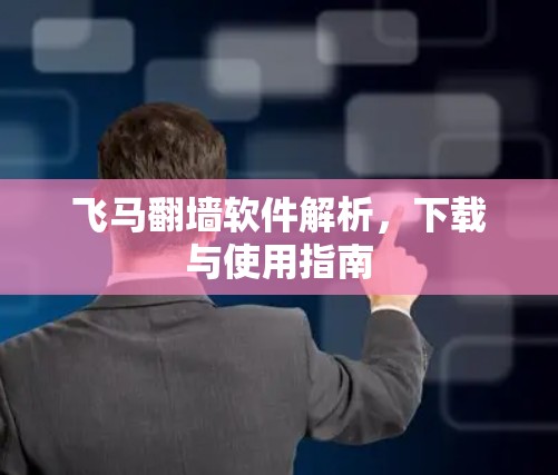飞马翻墙软件解析，下载与使用指南