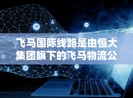 飞马国际线路是由恒大集团旗下的飞马物流公司提供的国际货运服务，专为企业客户提供高效、安全、可靠的跨国运输解决方案。以下是关于飞马代理国际线路的详细介绍