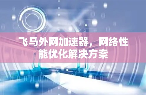 飞马外网加速器，网络性能优化解决方案