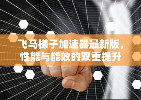 飞马梯子加速器最新版，性能与能效的双重提升