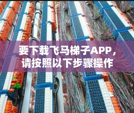 要下载飞马梯子APP，请按照以下步骤操作