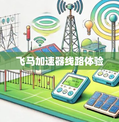 飞马加速器线路体验
