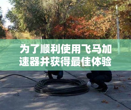 为了顺利使用飞马加速器并获得最佳体验，您可以按照以下步骤操作