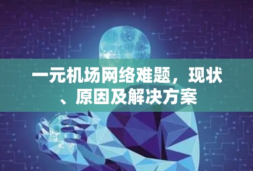 一元机场网络难题，现状、原因及解决方案
