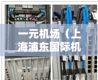 一元机场（上海浦东国际机场）之所以在高峰期或特定情况下显得拥挤或运行缓慢，主要是由于以下几个原因