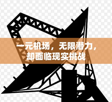 一元机场，无限潜力，却面临现实挑战
