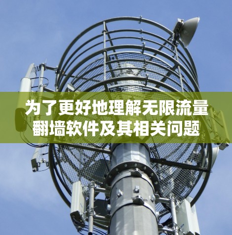 为了更好地理解无限流量翻墙软件及其相关问题，我进行了以下分析和总结