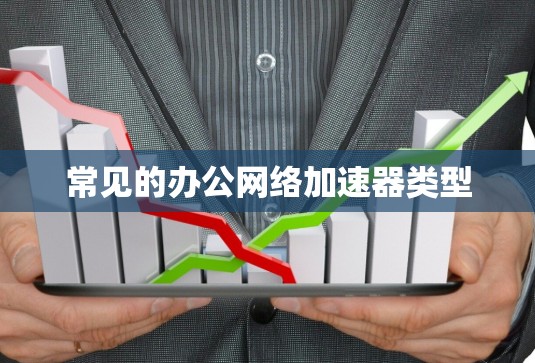常见的办公网络加速器类型