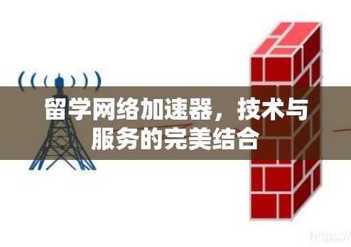 留学网络加速器，技术与服务的完美结合