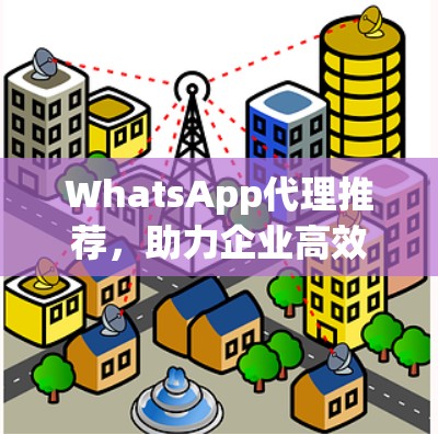 WhatsApp代理推荐，助力企业高效沟通与数字化合作